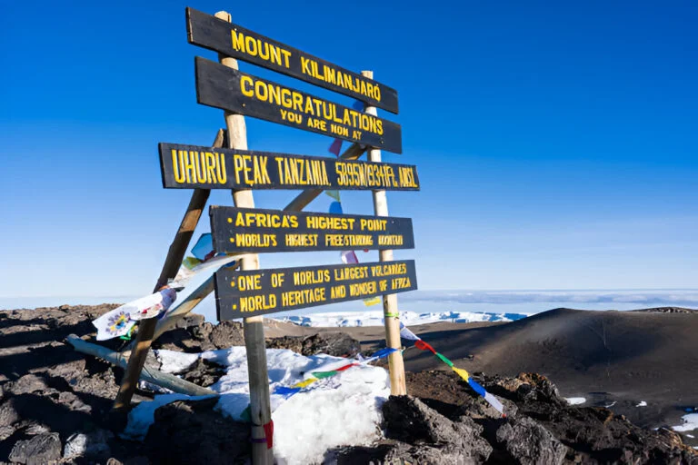 7 Days Kilimanjaro Rongai Route - Baobab Expeditions Tanzania