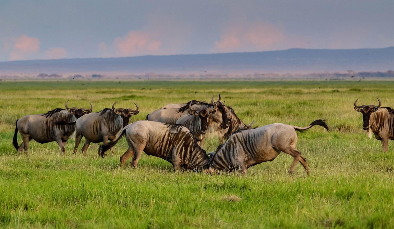 Great Migration