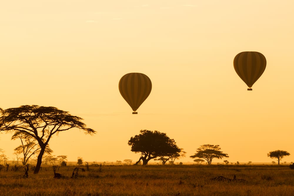 Honeymoon Safari in Tanzania: The Most Romantic Experience 2025-2026