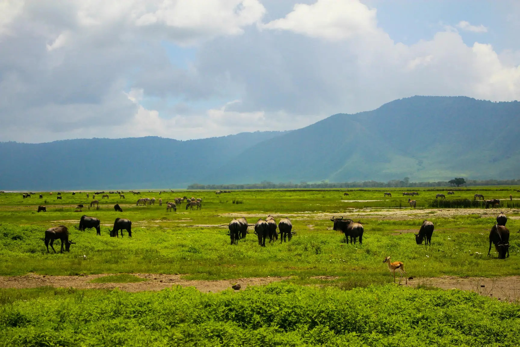 LAKE MANYARA NATIONAL PARK