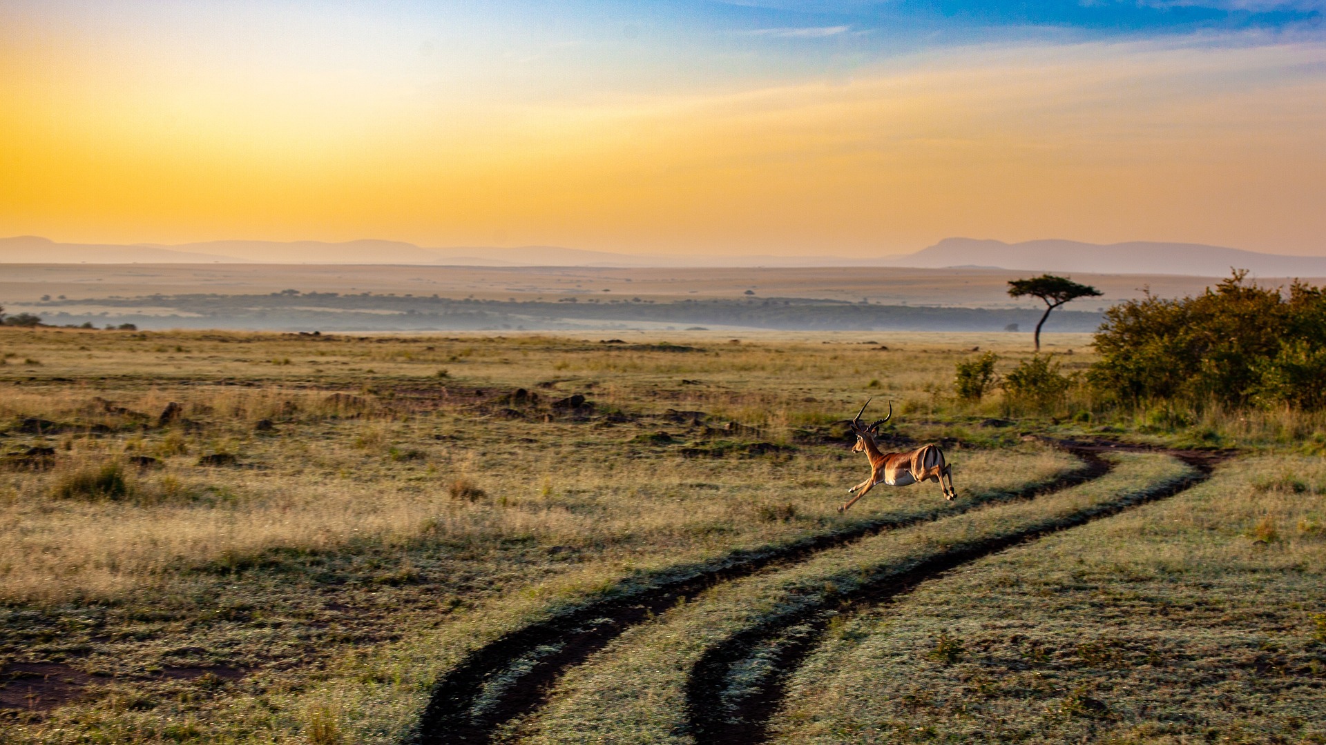 4-Day Mid-Range Safari (Iconic Destinations) – Baobab Expeditions Tanzania