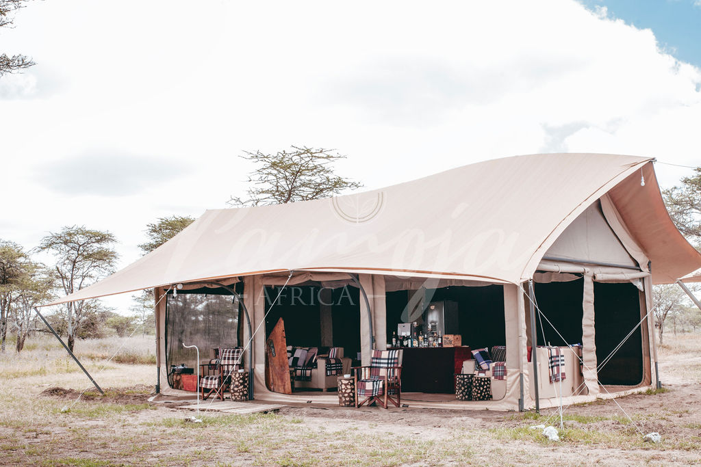 Safari Gallery - Baobab Expeditions Tanzania