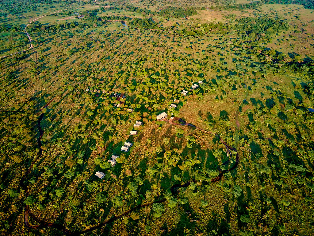 Safari Gallery - Baobab Expeditions Tanzania