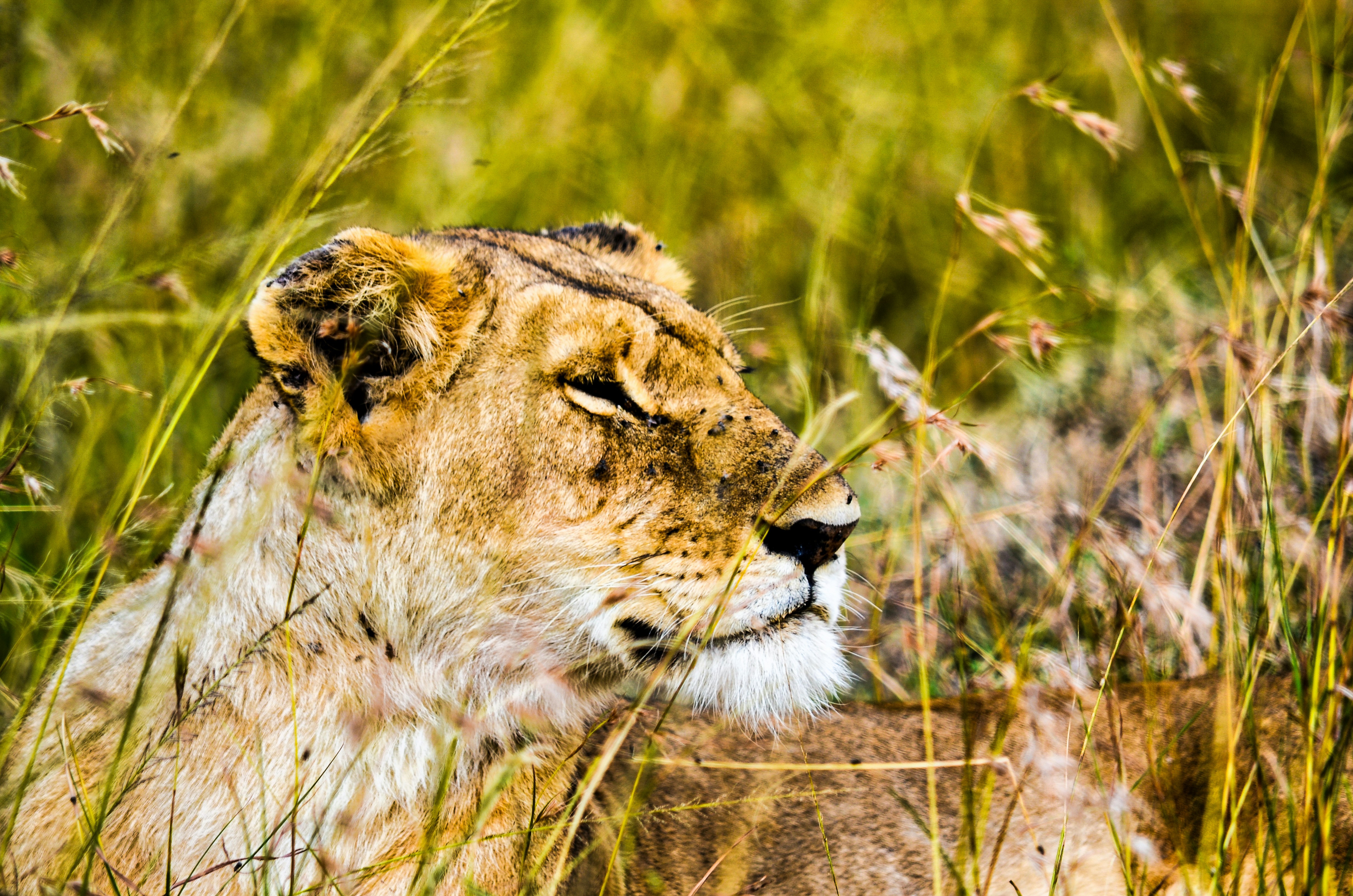 5-Day Group Tour Top Iconic Destination – Baobab Expeditions Tanzania