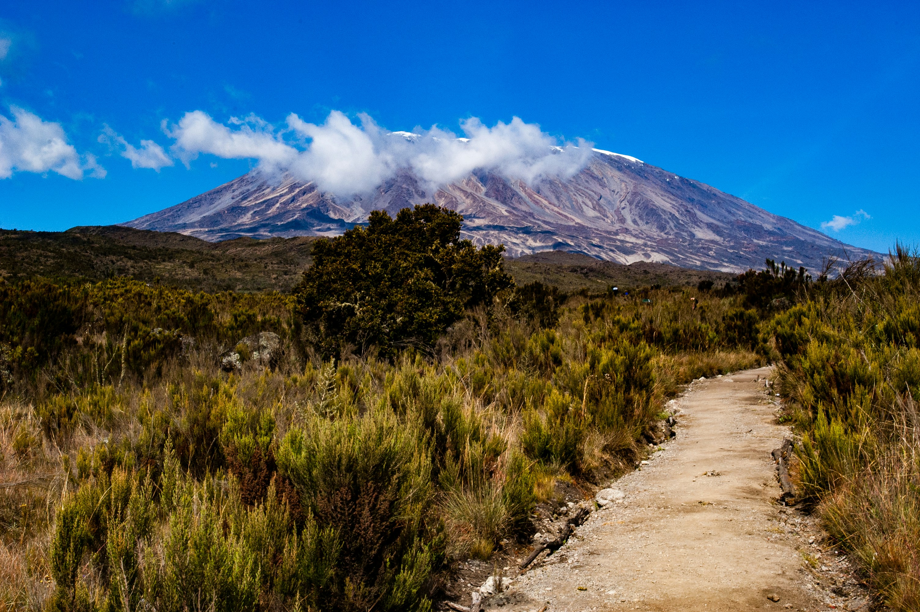 7 Days Kilimanjaro Machame Route – Baobab Expeditions Tanzania