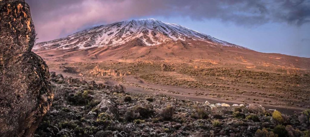 1-Day Mount Kilimanjaro Climbing - Baobab Expeditions Tanzania