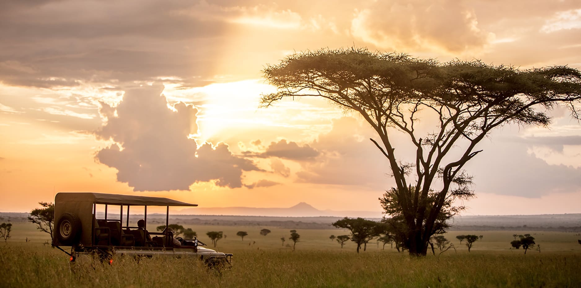 7-Day Southern Tanzania & Zanzibar Bush to Beach Escape – Baobab Expeditions Tanzania